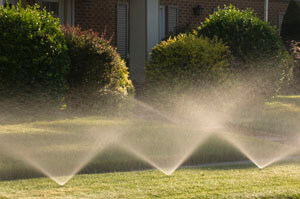 Sprinkler System Calgary